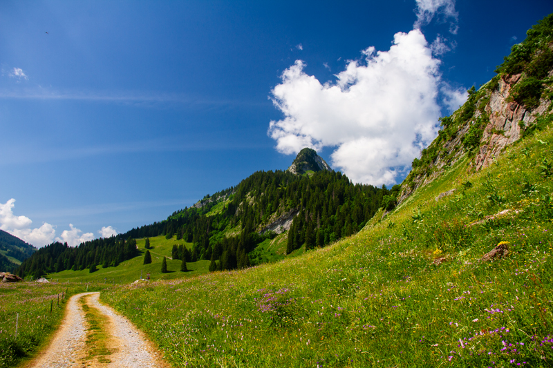Randonnée - Charmey – Haut-Mont – Joux à Marro