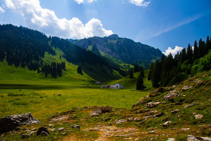 Randonnée - Charmey – Haut-Mont – Joux à Marro