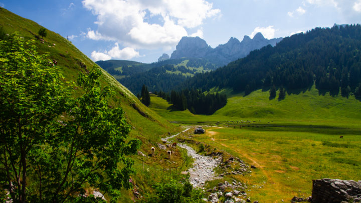Charmey – Haut-Mont – Joux à Marro