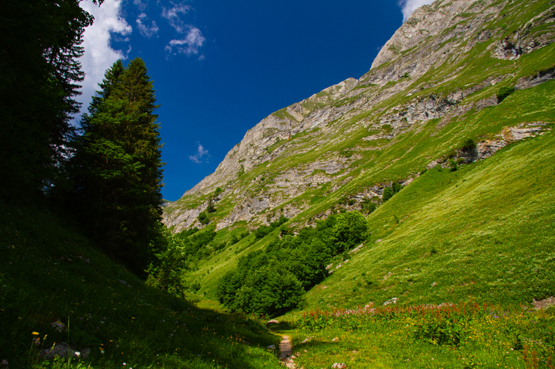 Randonnée - Charmey – Haut-Mont – Joux à Marro