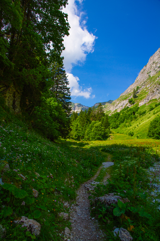 Randonnée - Charmey – Haut-Mont – Joux à Marro