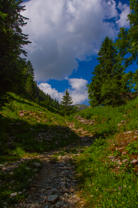 Randonnée - Charmey – Haut-Mont – Joux à Marro
