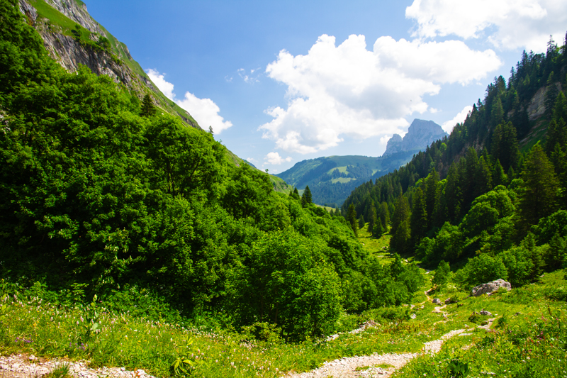 Randonnée - Charmey – Haut-Mont – Joux à Marro