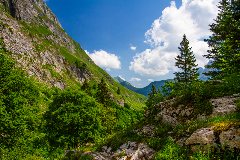 Randonnée - Charmey – Haut-Mont – Joux à Marro