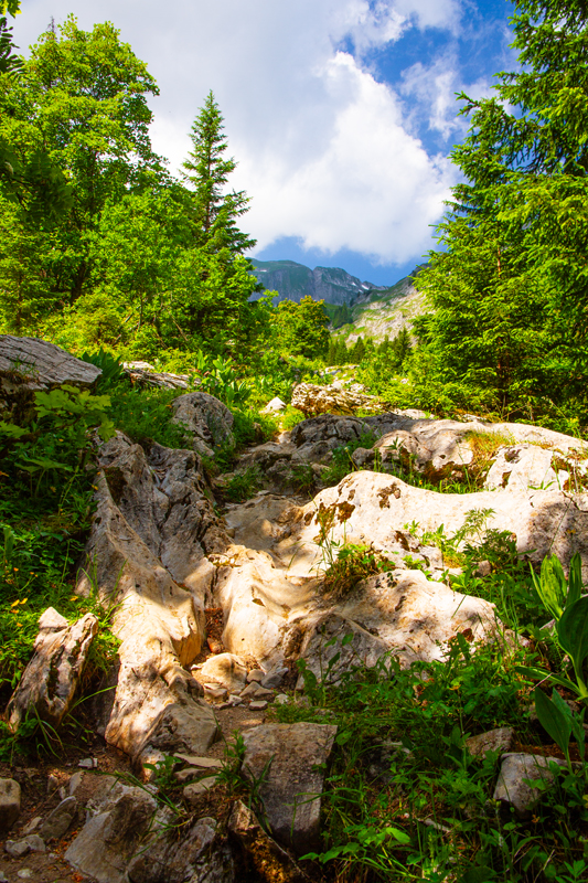 Randonnée - Charmey – Haut-Mont – Joux à Marro