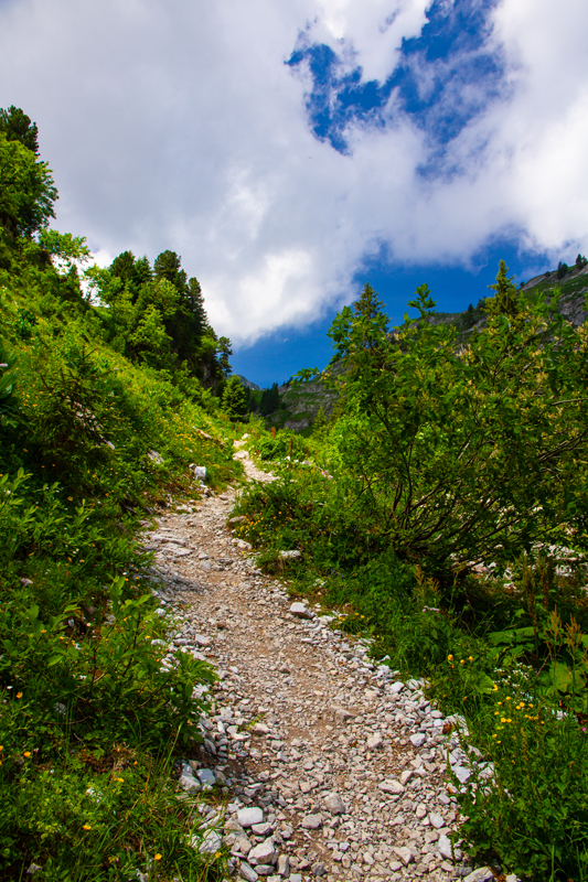 Randonnée - Charmey – Haut-Mont – Joux à Marro