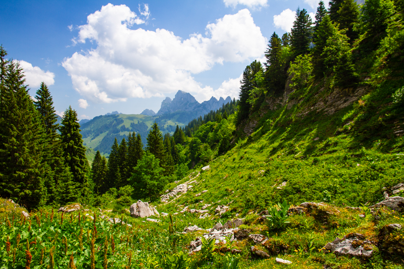 Randonnée - Charmey – Haut-Mont – Joux à Marro