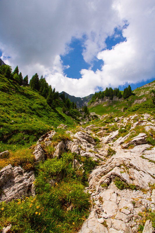 Randonnée - Charmey – Haut-Mont – Joux à Marro