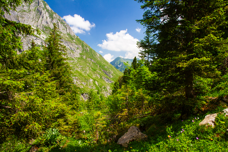 Randonnée - Charmey – Haut-Mont – Joux à Marro