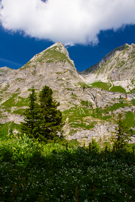 Randonnée - Charmey – Haut-Mont – Joux à Marro