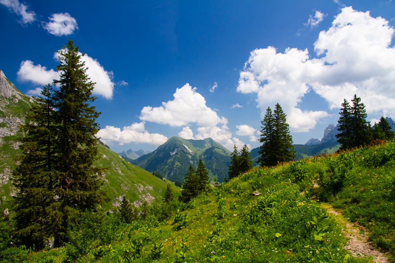 Randonnée - Charmey – Haut-Mont – Joux à Marro