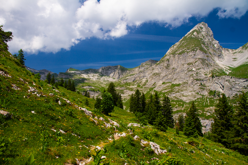 Randonnée - Charmey – Haut-Mont – Joux à Marro