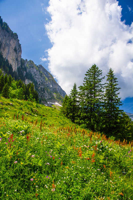 Randonnée - Charmey – Haut-Mont – Joux à Marro