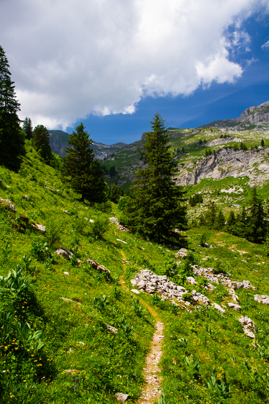 Randonnée - Charmey – Haut-Mont – Joux à Marro