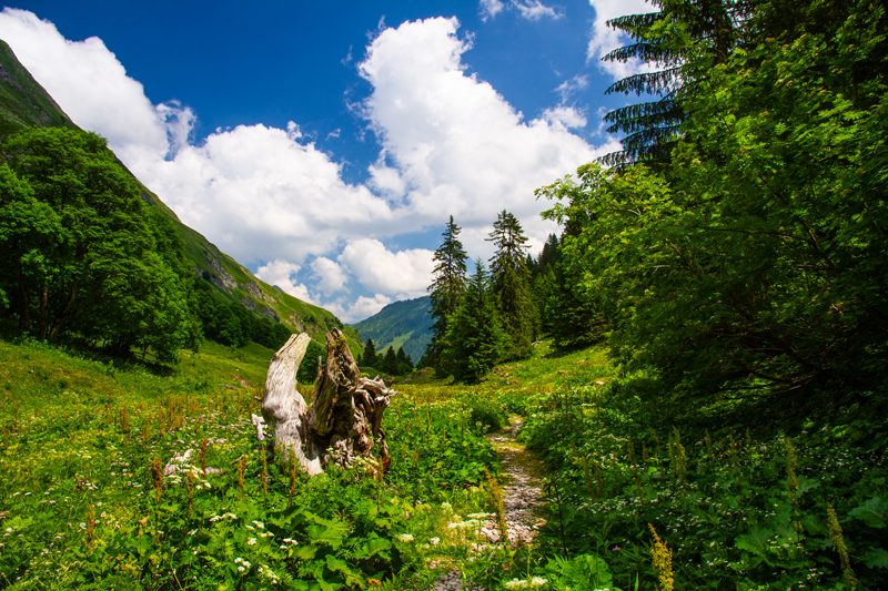 Randonnée - Charmey – Haut-Mont – Joux à Marro