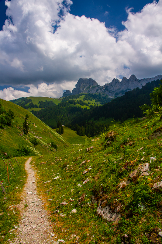Randonnée - Charmey – Haut-Mont – Joux à Marro