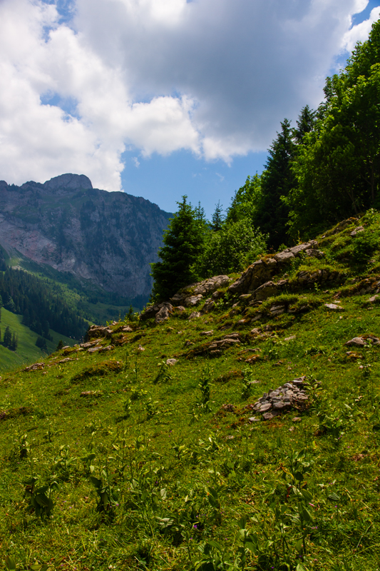 Randonnée - Charmey – Haut-Mont – Joux à Marro