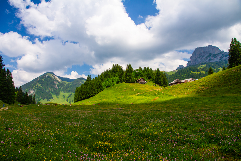 Randonnée - Charmey – Haut-Mont – Joux à Marro