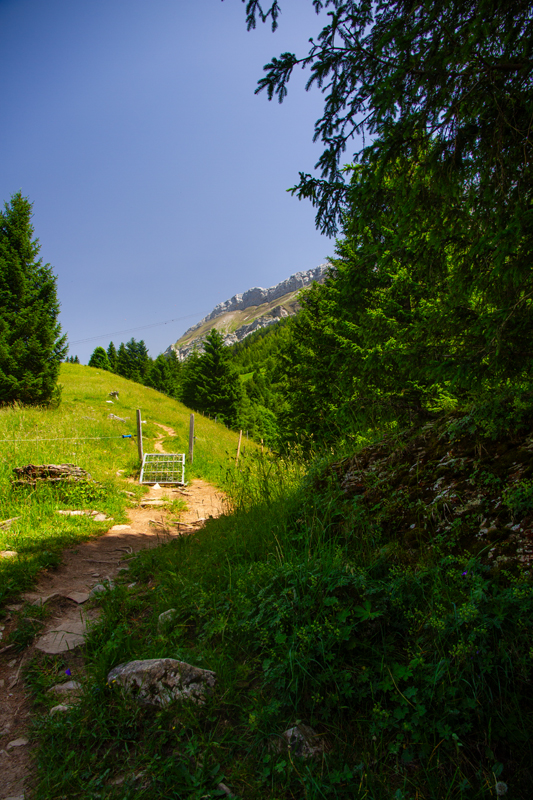 Randonnée - Cascade du Dar