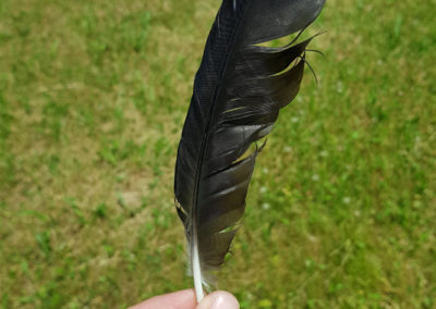 Plumes en vrac
