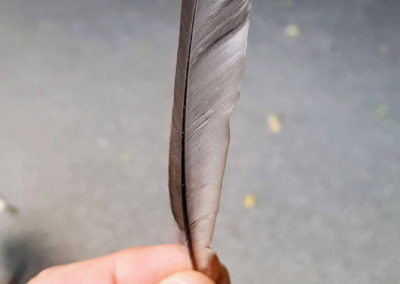 Plumes en vrac