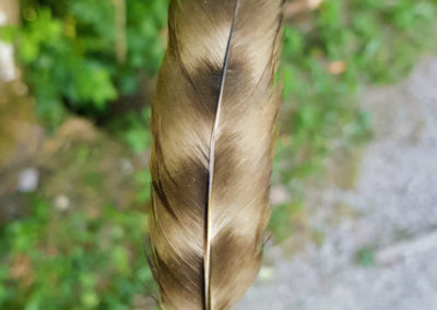 Plumes en vrac