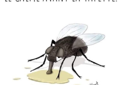 Humour