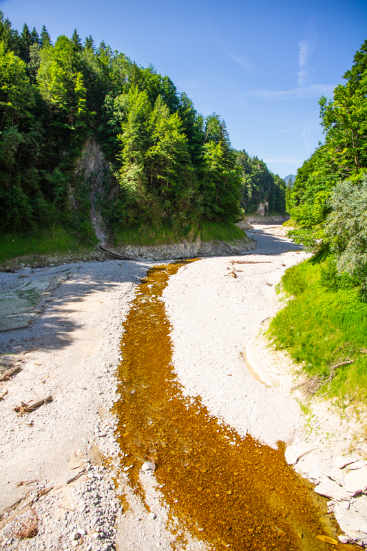 Randonnée - Tour du Lac de Montsalvens