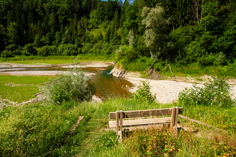 Randonnée - Tour du Lac de Montsalvens