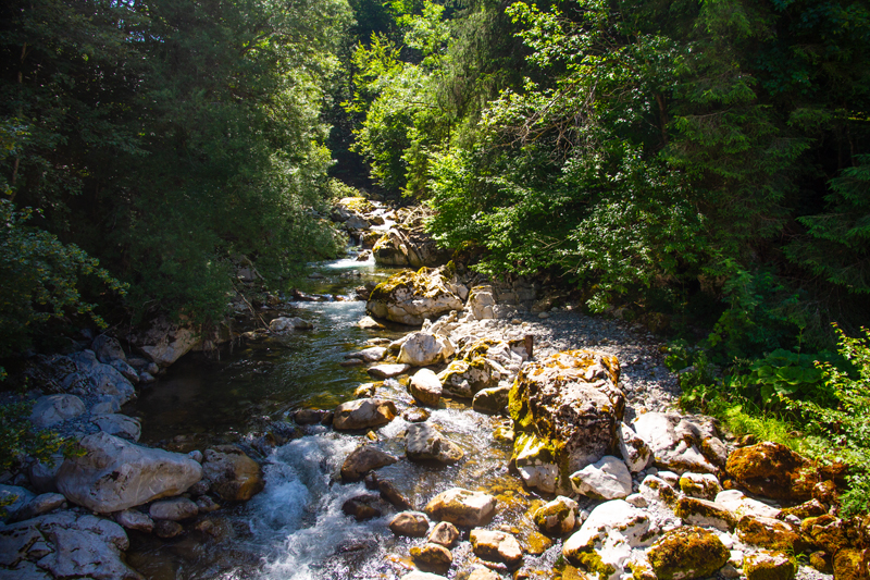Randonnée - Tour du Lac de Montsalvens