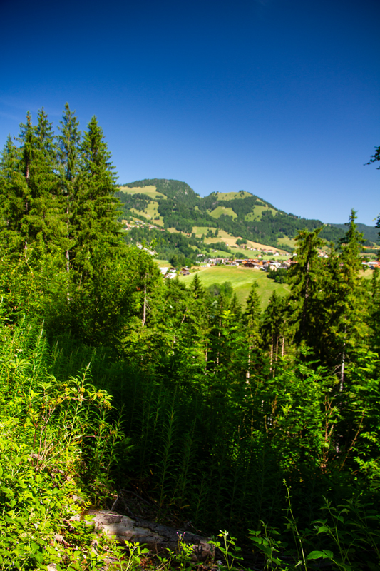 Randonnée - Tour du Lac de Montsalvens