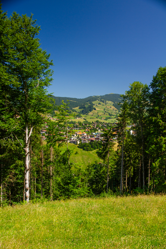 Randonnée - Tour du Lac de Montsalvens