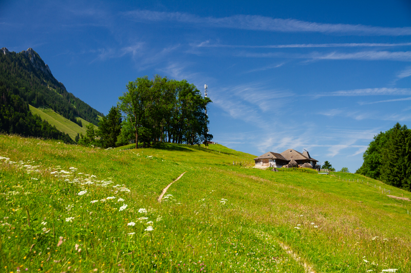 Randonnée - Tour du Lac de Montsalvens