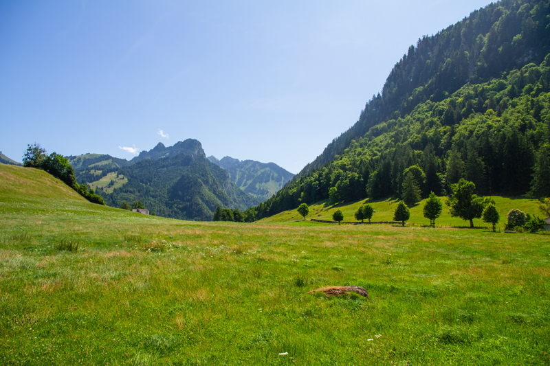 Randonnée - Tour du Lac de Montsalvens