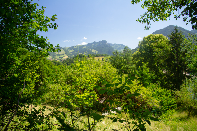 Randonnée - Tour du Lac de Montsalvens