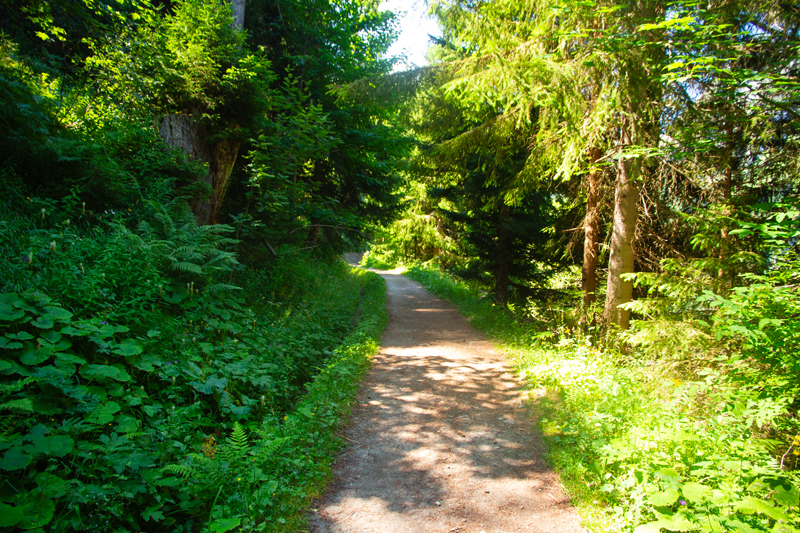 Randonnée - Bisse du Trient