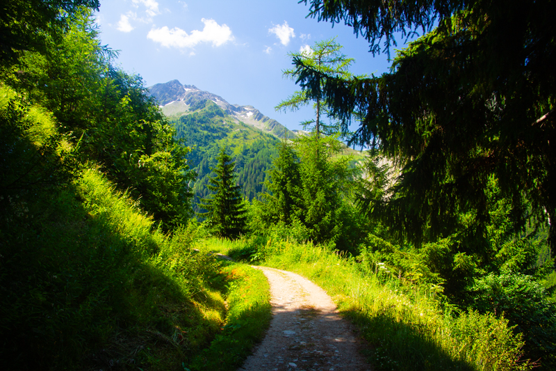 Randonnée - Bisse du Trient