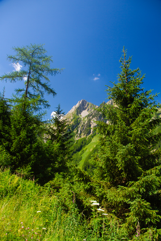 Randonnée - Bisse du Trient