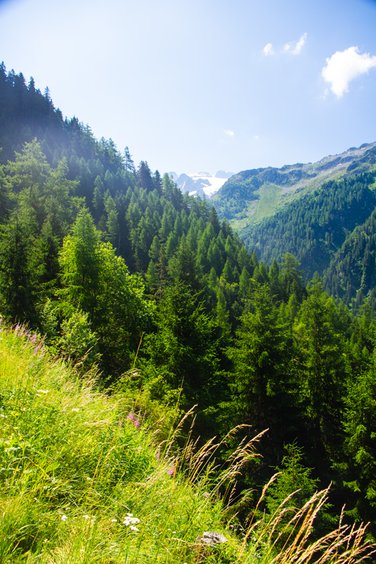 Randonnée - Bisse du Trient
