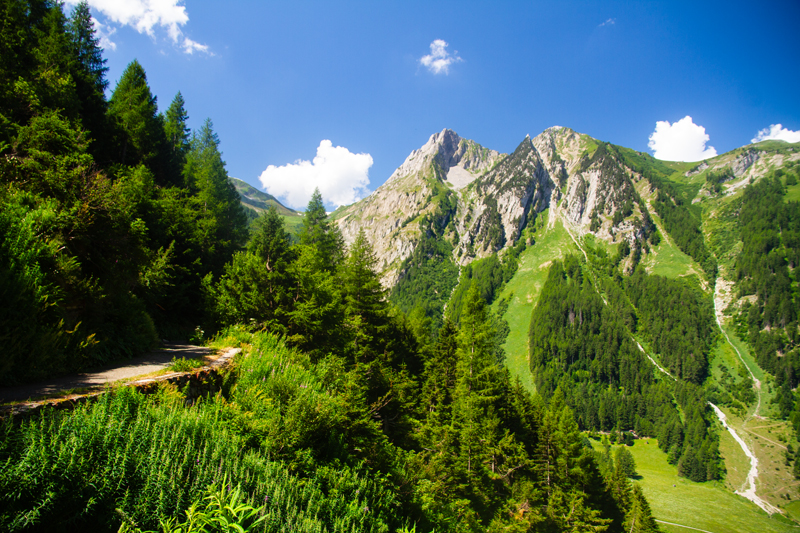 Randonnée - Bisse du Trient