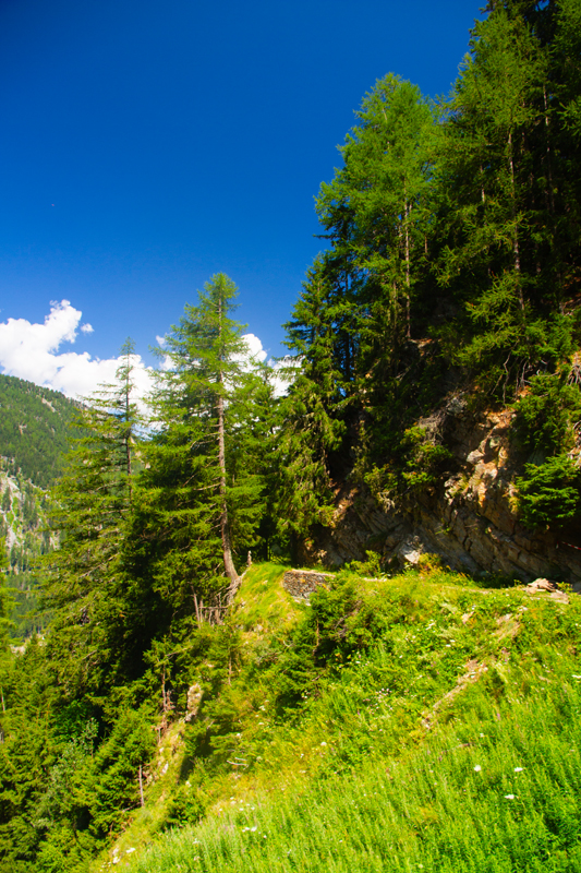 Randonnée - Bisse du Trient