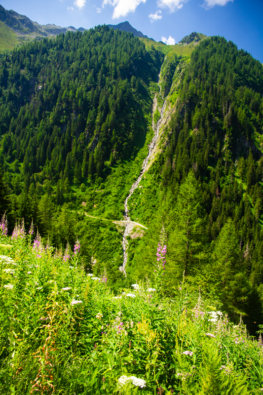 Randonnée - Bisse du Trient