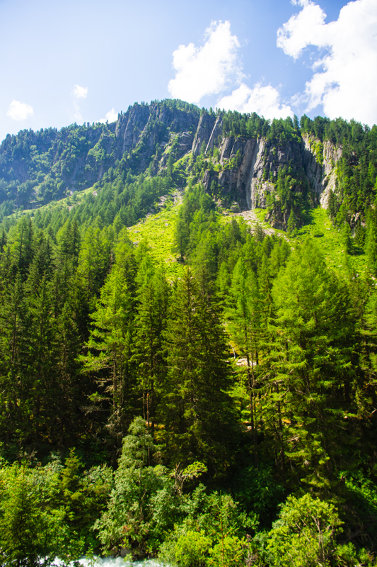 Randonnée - Bisse du Trient