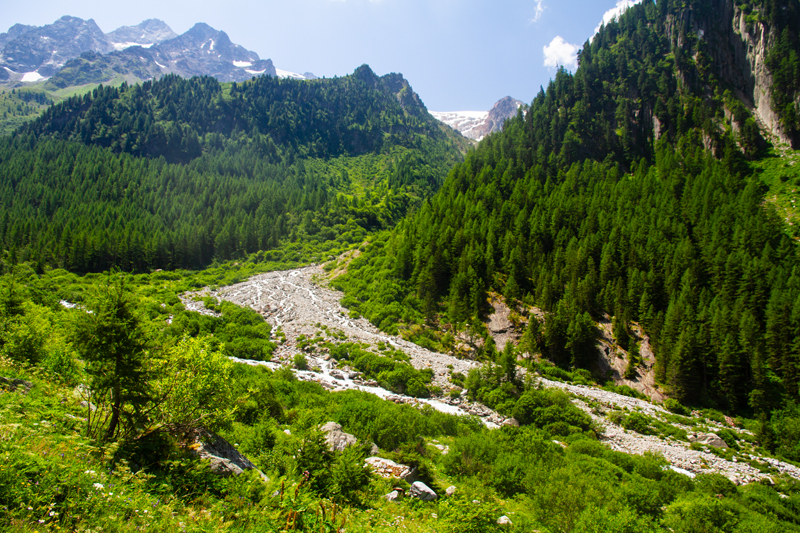 Randonnée - Bisse du Trient