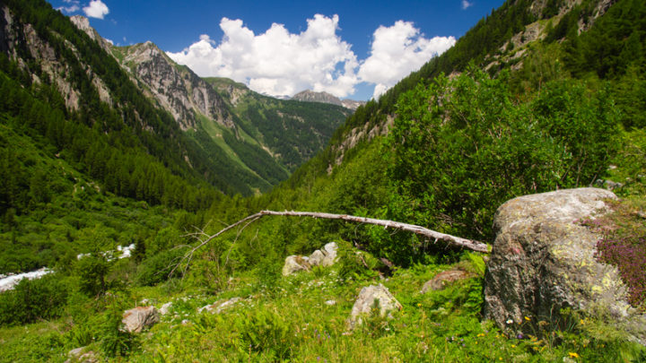 Bisse du Trient