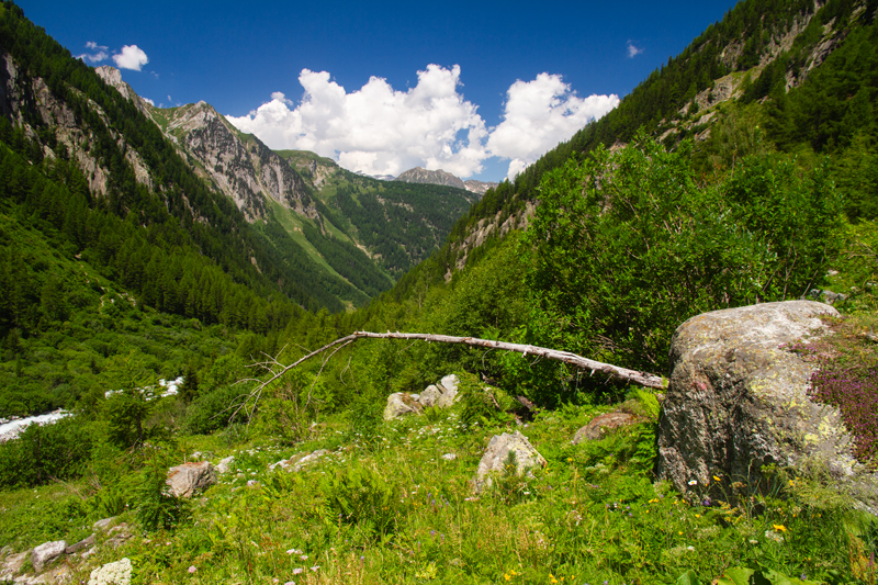 Bisse du Trient Bisse du Trient