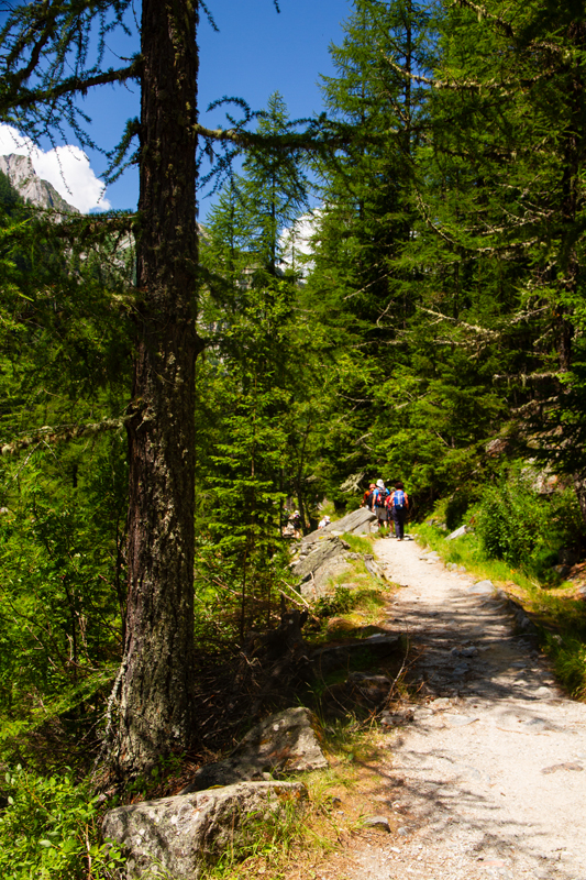 Randonnée - Bisse du Trient