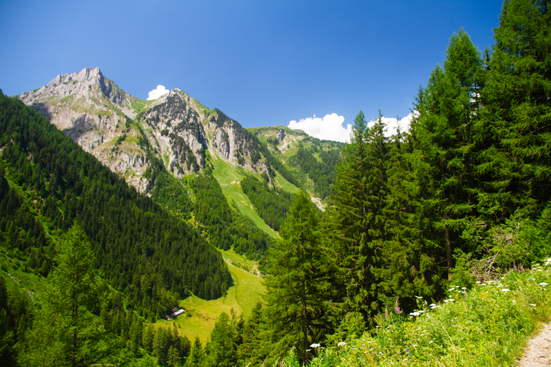 Randonnée - Bisse du Trient