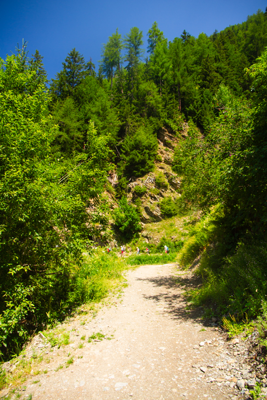 Randonnée - Bisse du Trient