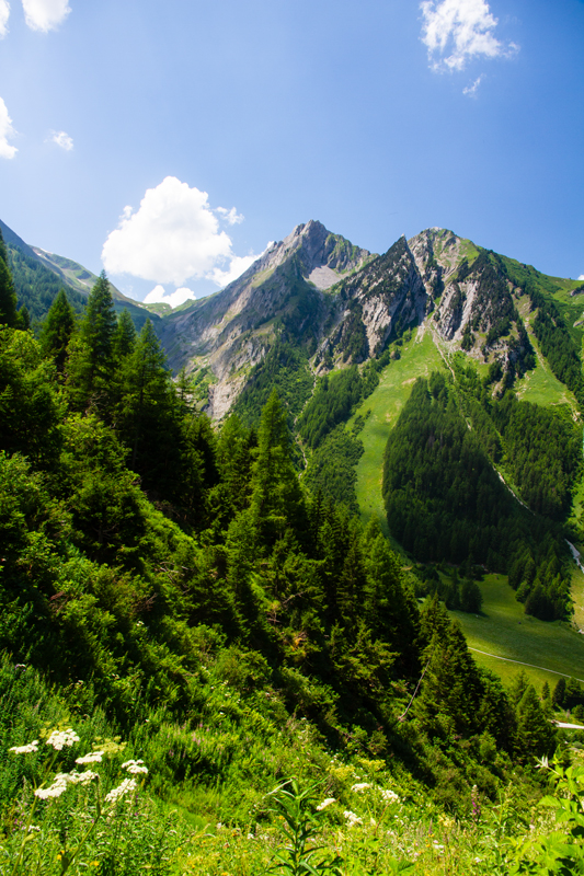 Randonnée - Bisse du Trient